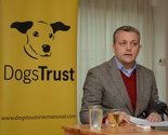 Dogs Trust primoran razmotriti zamrzavanje aktivnosti?