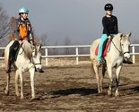 Konjički klub Pegasos u Sarajevu - mjesto gdje su ljudi i konji najbolji prijatelji