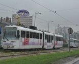 GRAS: Zabranjen prijevoz našim vozilima na tri od ukupno pet linija