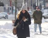 Ledeni vrtlog zahvatio SAD, rekordno niske temperature