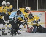 Ice Fest Sarajevo 2014.: Večeras susret Telemach Olimpije i Villacha