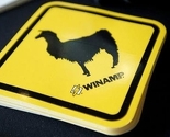 Kompanija Radionomy spasila Winamp