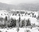Na Bjelašnici palo 37, a u Bihaću 34 cm snijega
