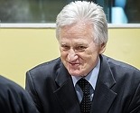 Ahmić: Brammertz mora hitno zatražiti reviziju slučaja Perišić