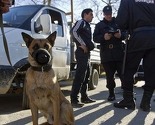 Soči će biti neosvojiva tvrđava: 100.000 policajaca i vojnika osigurava ZOI