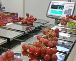 Osamnaest bh. kompanija na sajmu Fruit Logistica u Berlinu
