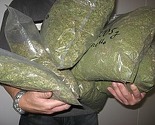 Na granici Srbije i Hrvatske zaplijenjeno 140 kilograma marihuane