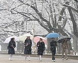 Zbog novog snijega saobraćajni haos u Japanu