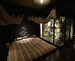 Posao cvjeta u japanskim "hotelima ljubavi"