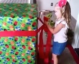 Kakva sreća trogodišnjakinje kada je otvorila najbolji poklon na svijetu