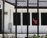Otkrivena grupa od 13 ilegalnih migranata u Mostaru