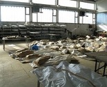 U Šejkovači danas identifikovano osam žrtava iz Tomašice