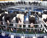 Sarajevski Milkos dobio rješenje za izvoz na tržište EU