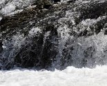 Na Bijambarama obilježen Svjetski dan zaštite voda i šuma