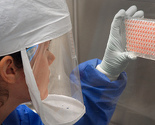 Iz instituta Louis Pasteur nestali uzorci smrtonosnog virusa!?