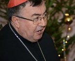 Kardinal Puljić za Klix.ba: Zabrinut sam za Bosnu, Evropa je predugo tolerirala ovo glupo stanje