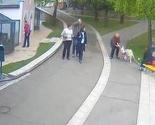 Objavljen snimak napada vuka na djevojčicu u zoološkom vrtu u Beogradu