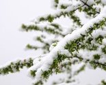 U Foči napadalo 30 cm snijega, saobraćaj se otežano odvija