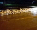 Bijeljina: Sava potopila Velino Selo, hiljade ljudi brane nasip na kanalu Dašnica