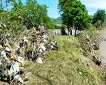 Zatrpana smećem rijeka Bosna pred ekološkom katastrofom