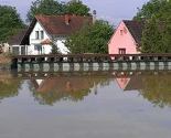 Bijeljina: Sava se povlači, leševi životinja prekrivaju seoska područja