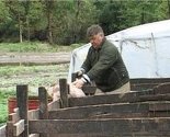 Srbija: Uništeno 200 tona leševa uginulih životinja