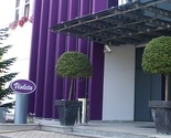 Violeta osigurala milion KM za fond za pomoć stradalima