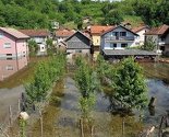 Crveni polumjesec UAE za BiH osigurao 100.000 dolara