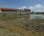 Ne stavljati u promet povrće i jagode s poplavljenih parcela