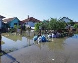 Na području Bijeljine prikupljeno osam tona uginule stoke
