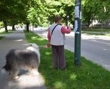 Počela nova kampanja besplatne sterilizacije i mikročipiranja pasa