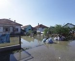 Bijeljina: Prikupljeno 10,5 tona uginule stoke, epidemiološko stanje rizično