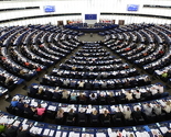 U EP ušle stranke koje se zalažu za protjerivanje muslimana i uništavanje imigranata Ebolom!