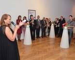 Održana "Bečka večer", večer solidarnosti i prijateljstva