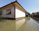 Mićić: Bijeljini potrebna hrana za ljude i stoku