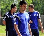 Emir Spahić povrijeđen napustio trening, bit će spreman za Nigeriju