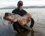 Tuzlanski ribar Amir Teletović ulovio soma teškog 48 kilograma