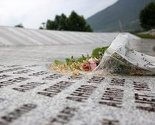 Na 19. godišnjicu genocida nad Bošnjacima u Srebrenici bez političkih obraćanja