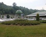 Civilno društvo traži od Srbije da 11. juli proglasi Danom sjećanja na genocid u Srebrenici