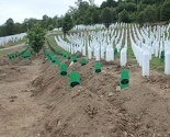 Nakon dženaze u Potočarima: Tišina i smiraj za ubijene Srebreničane