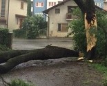 Nevrijeme u Brčkom: Polomljena stabla, štete na krovovima