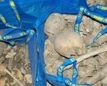 Žena u Švedskoj pronašla dvije kese pune ljudskih kostiju