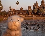 Travel Bunny ukraden u Italiji: Slavni zeko koji je obišao svijet otet iz automobila