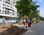 Počeli radovi na uređenju šetališta na Bulevaru branilaca Dobrinje