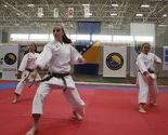 Postignut dogovor o formiranju Karate saveza BiH