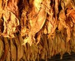 Spriječeno krijumčarenje 55 kilograma duhana