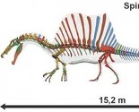 Sto godina potrage: Otkriven dinosaur tri metra veći od T. rexa