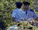 Državljanin BiH poginuo prilikom sječe šume kod Podgorice