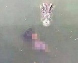 Žena se ubila skočivši u zvjerinjak sa preko hiljadu krokodila