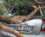 Vjetar u Mostaru čupao stabla, u Trebinju voda ušle u objekte
